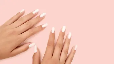 pflanzstbe kaufen Hochwertige Pflanzstbe aus GFK fr Ihre Pflanzen  Fibrolux
