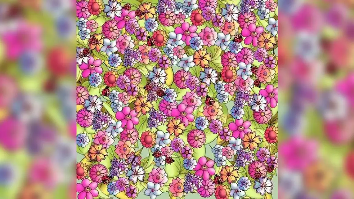 Hier flattert was! Findet ihr den Schmetterling im Blütenmeer?