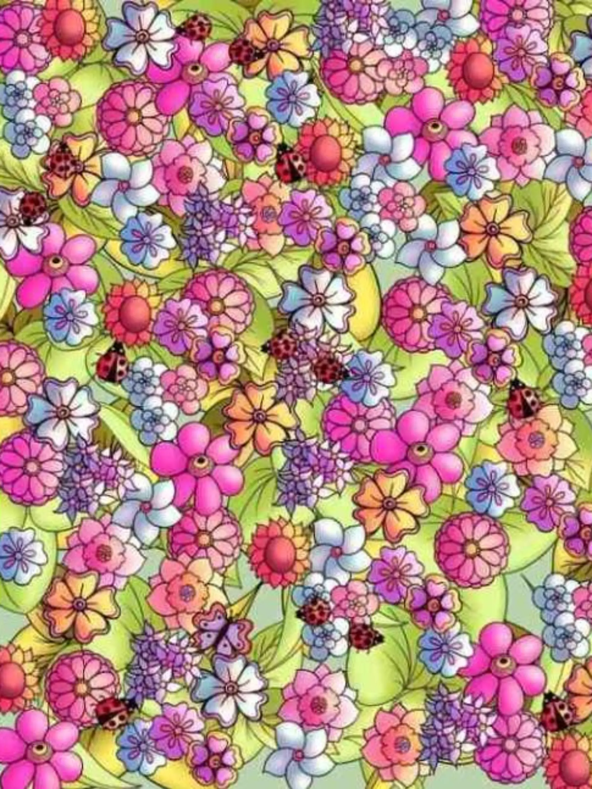 Suchbild Schmetterling