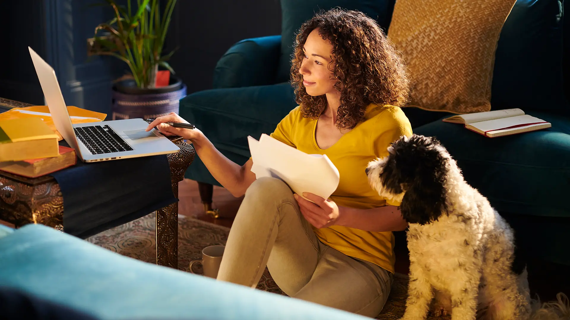 Frau und Hund sitzen auf dem Boden und checken Tierversicherungen am Laptop.