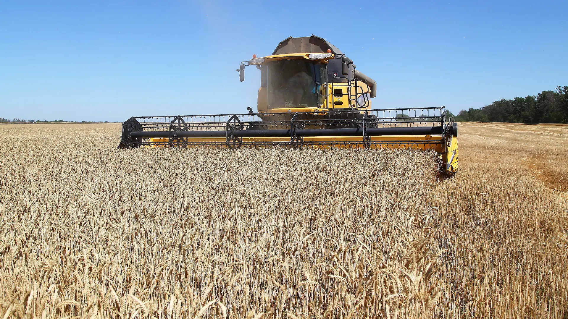 DONETSK REGION, UKRAINE - JULY 10, 2020: Agricultural machinery harvest winter wheat in a field of the Zarya-Agro state-owned farming enterprise near the village of Krasnoarmiyske, Novoazovsky District. Valentin Sprinchak/TASS
