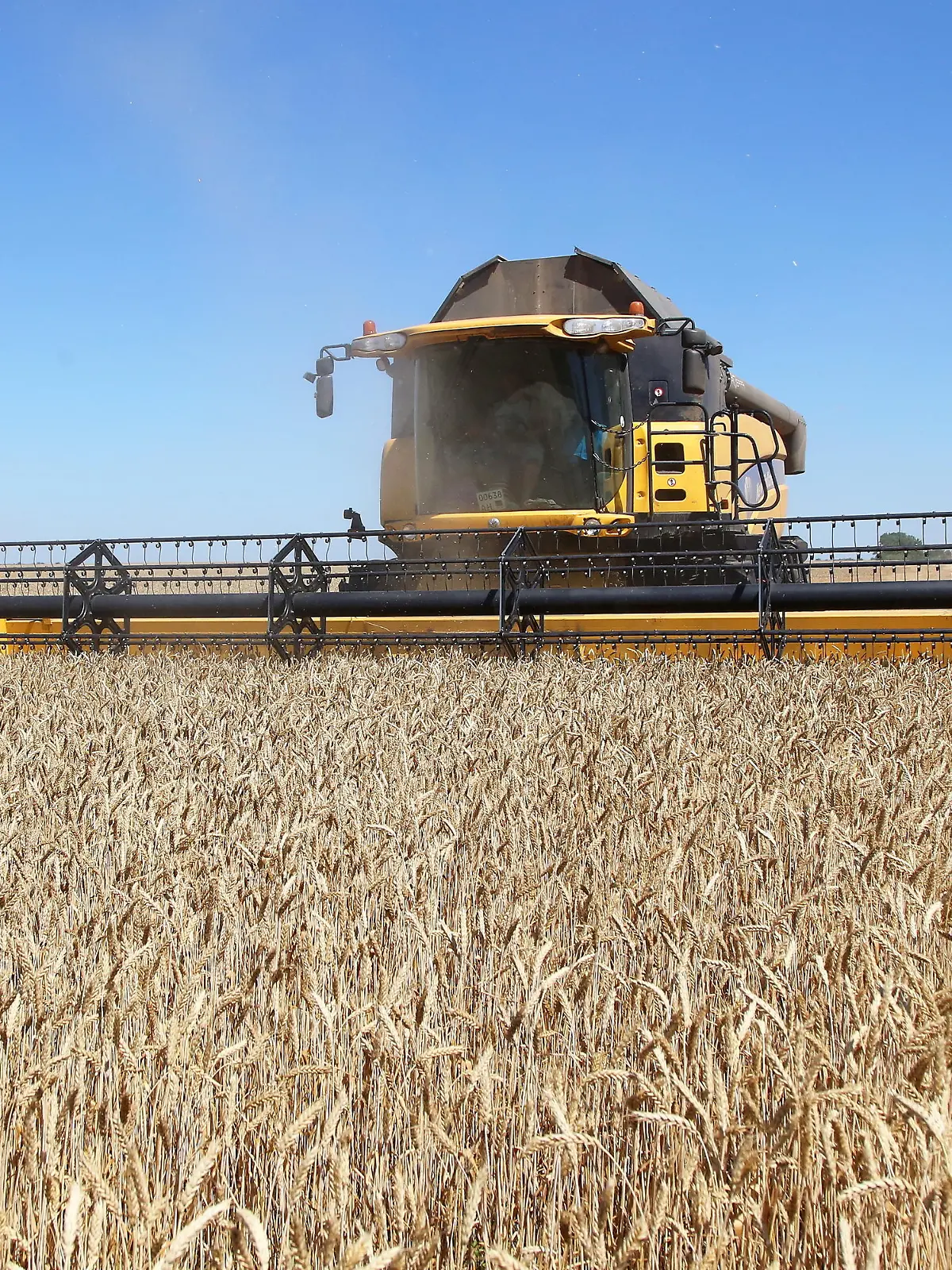 DONETSK REGION, UKRAINE - JULY 10, 2020: Agricultural machinery harvest winter wheat in a field of the Zarya-Agro state-owned farming enterprise near the village of Krasnoarmiyske, Novoazovsky District. Valentin Sprinchak/TASS