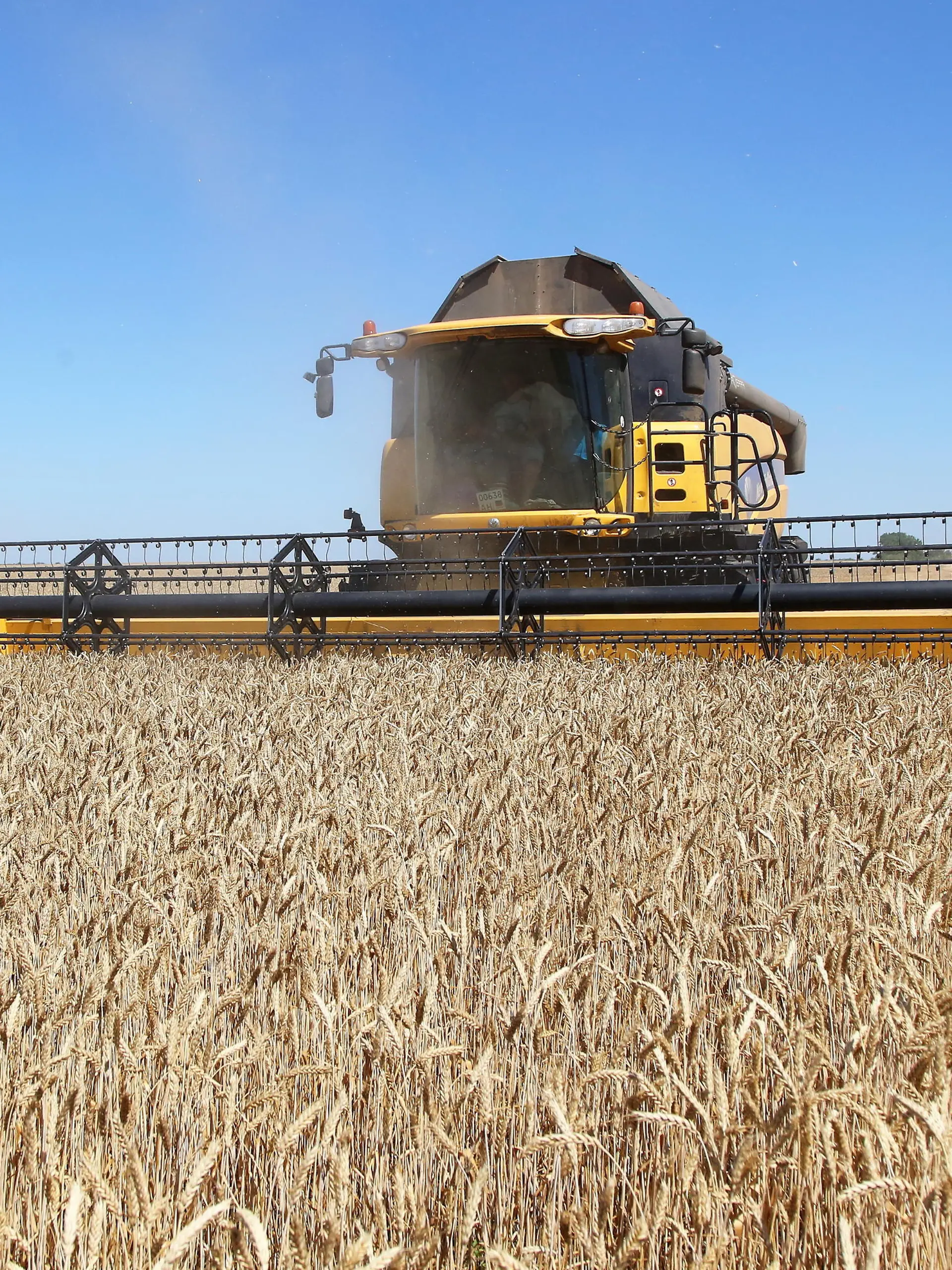 DONETSK REGION, UKRAINE - JULY 10, 2020: Agricultural machinery harvest winter wheat in a field of the Zarya-Agro state-owned farming enterprise near the village of Krasnoarmiyske, Novoazovsky District. Valentin Sprinchak/TASS