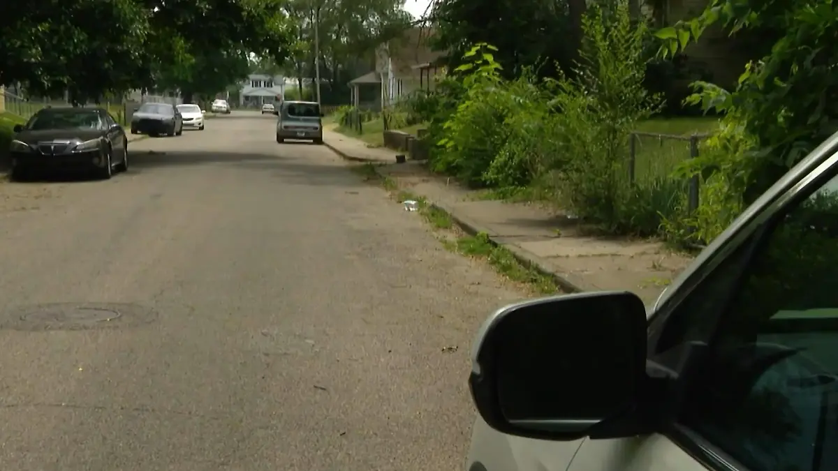 Eine Straße mit Wohnhäusern, Vorgärten und geparkten Autos am Wegesrand