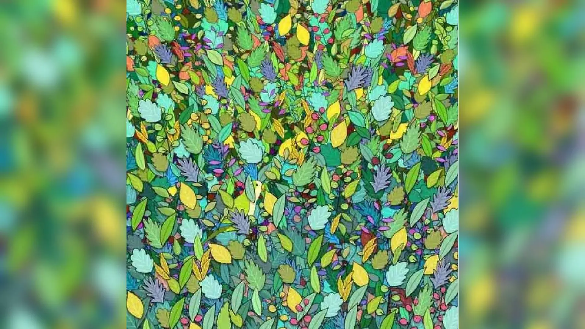 Kniffliges Suchbild: Wer findet den Papagei zwischen all den Blättern?