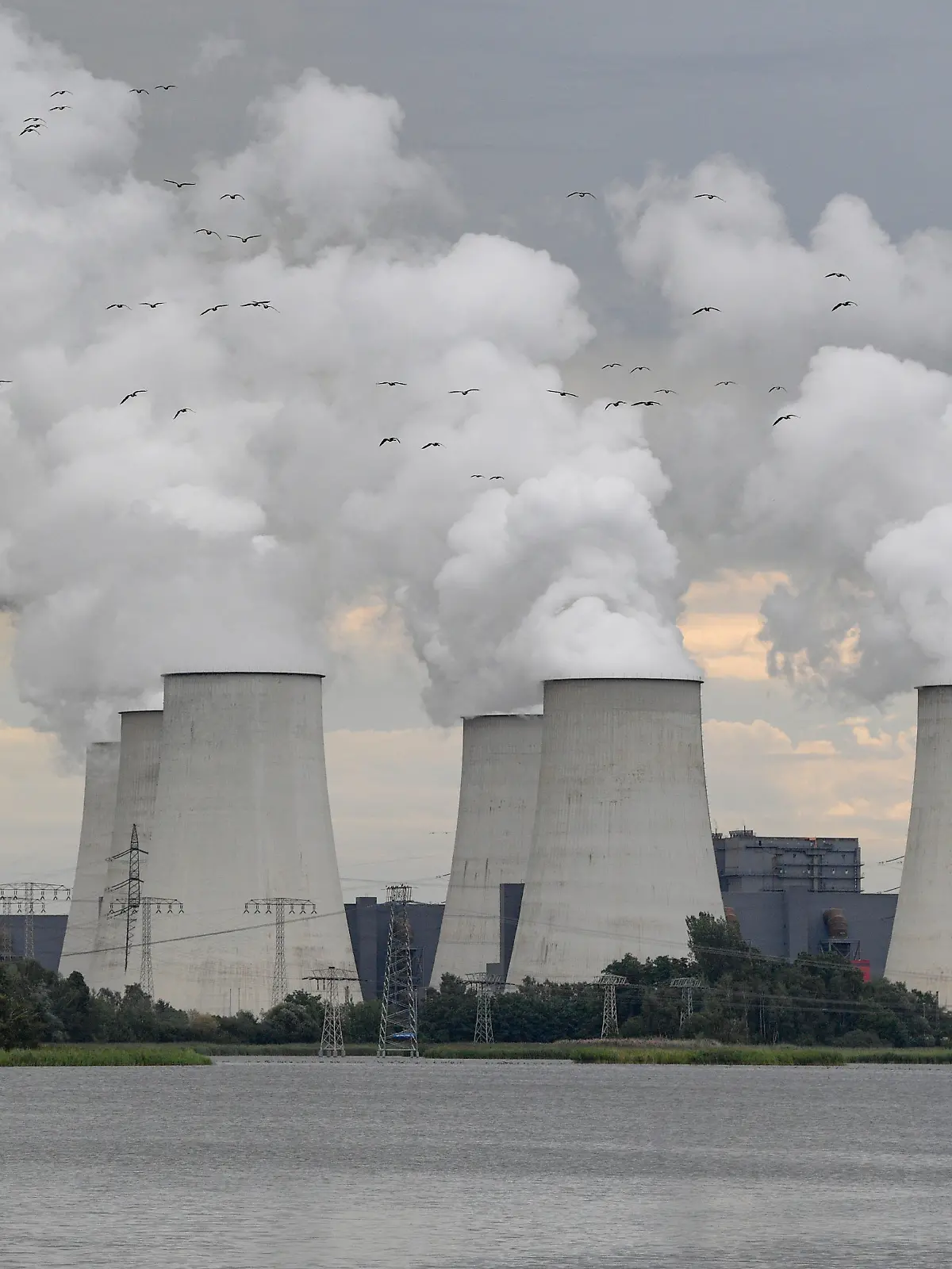 ARCHIV - 12.08.2019, Brandenburg, Peitz: Wildgänse fliegen in Richtung der dampfenden Kühltürme des Braunkohlekraftwerkes Jänschwalde der Lausitz Energie Bergbau AG (LEAG). Die Umweltstiftung WWF warnt in ihrem Dürrereport vor einer Wasserkrise und fordert eine bessere Wasserpolitik. In Deutschland seien vor allem Kraftwerke in Brandenburg von einem hohen Dürrerisiko betroffen. Als Beispiele nannte der WWF die Kohlekraftwerke Jänschwalde, Boxberg, Schwarze Pumpe und das Heizkraftwerk Cottbus sowie das Wasserkraftwerk Altheim und das Gaswerk Kirchmöser. Kraftwerke brauchen Wasser unter anderem zur Kühlung. Foto: Patrick Pleul/zb/dpa +++ dpa-Bildfunk +++