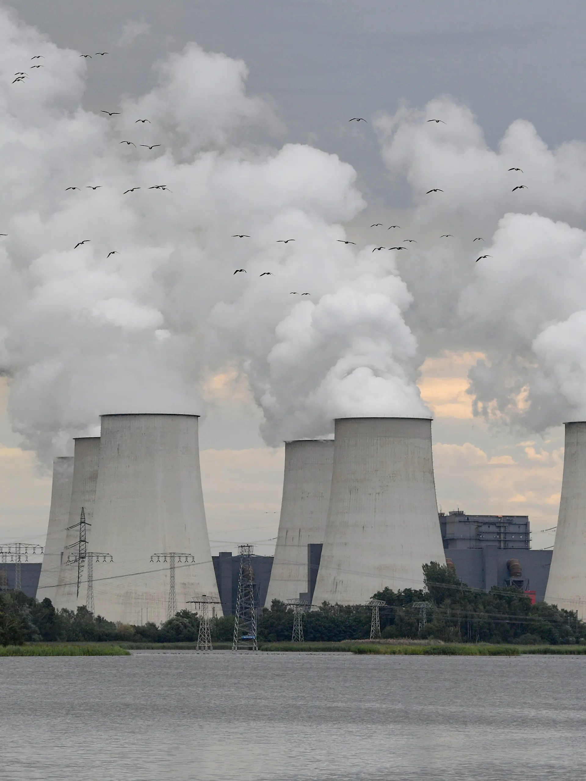 ARCHIV - 12.08.2019, Brandenburg, Peitz: Wildgänse fliegen in Richtung der dampfenden Kühltürme des Braunkohlekraftwerkes Jänschwalde der Lausitz Energie Bergbau AG (LEAG). Die Umweltstiftung WWF warnt in ihrem Dürrereport vor einer Wasserkrise und fordert eine bessere Wasserpolitik. In Deutschland seien vor allem Kraftwerke in Brandenburg von einem hohen Dürrerisiko betroffen. Als Beispiele nannte der WWF die Kohlekraftwerke Jänschwalde, Boxberg, Schwarze Pumpe und das Heizkraftwerk Cottbus sowie das Wasserkraftwerk Altheim und das Gaswerk Kirchmöser. Kraftwerke brauchen Wasser unter anderem zur Kühlung. Foto: Patrick Pleul/zb/dpa +++ dpa-Bildfunk +++