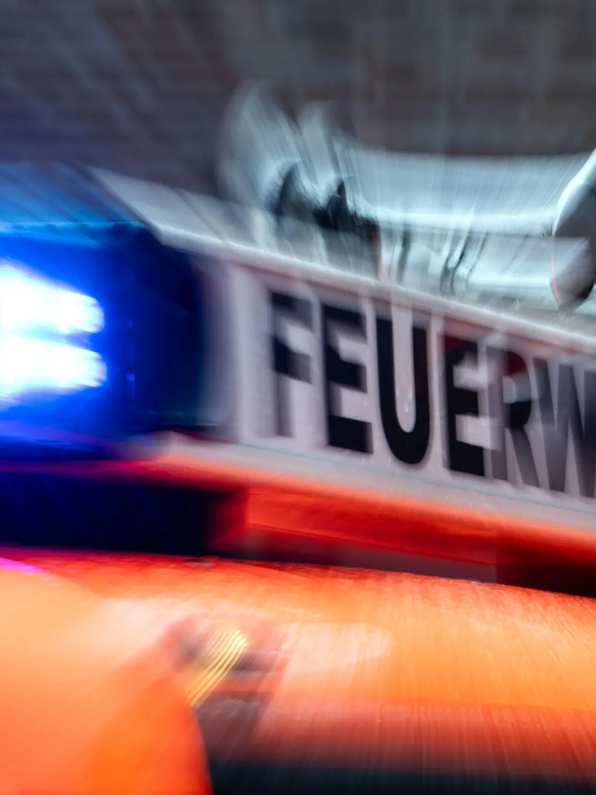 Bild zu: "Spaziergänger entdecken brennende Leiche in Waldstück"