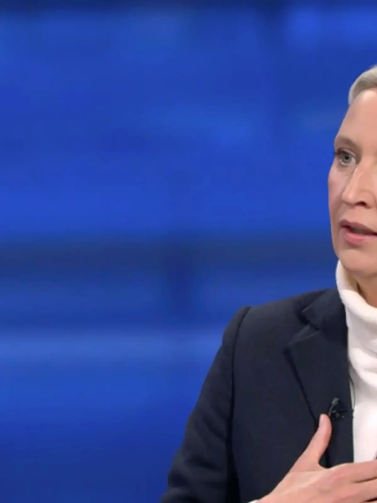 Bild zu: "Weidel weicht "Vogelschiss"-Frage aus"