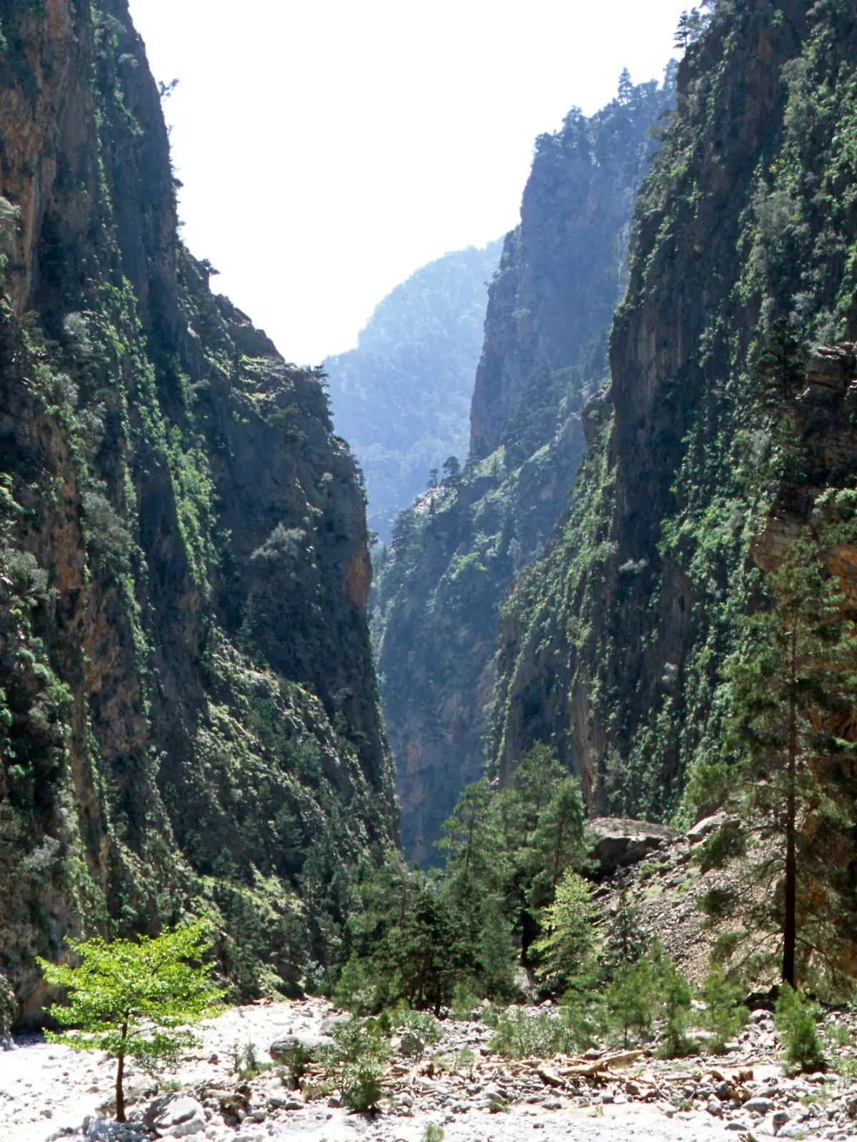 In der Samaria-Schlucht im Süden Kretas wird nach dem Vermissten gesucht