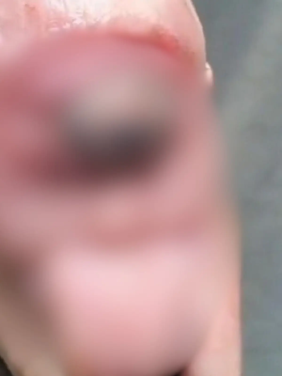 Bild zu: "Züchterin schockiert! Ferkel kommt mit nur einem Auge zur Welt"
