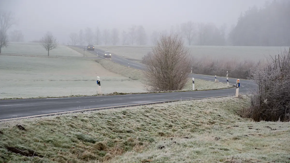 ARCHIV - 29.12.2024, Rheinland-Pfalz, Spangdahlem: Autos fahren auf der Landesstraße L46 durch die neblige und frostige Landschaft. (zu dpa: «Glättegefahr in Rheinland-Pfalz und Saarland») Foto: Harald Tittel/dpa +++ dpa-Bildfunk +++