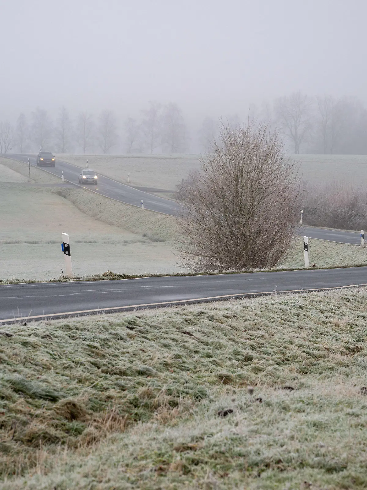 ARCHIV - 29.12.2024, Rheinland-Pfalz, Spangdahlem: Autos fahren auf der Landesstraße L46 durch die neblige und frostige Landschaft. (zu dpa: «Glättegefahr in Rheinland-Pfalz und Saarland») Foto: Harald Tittel/dpa +++ dpa-Bildfunk +++