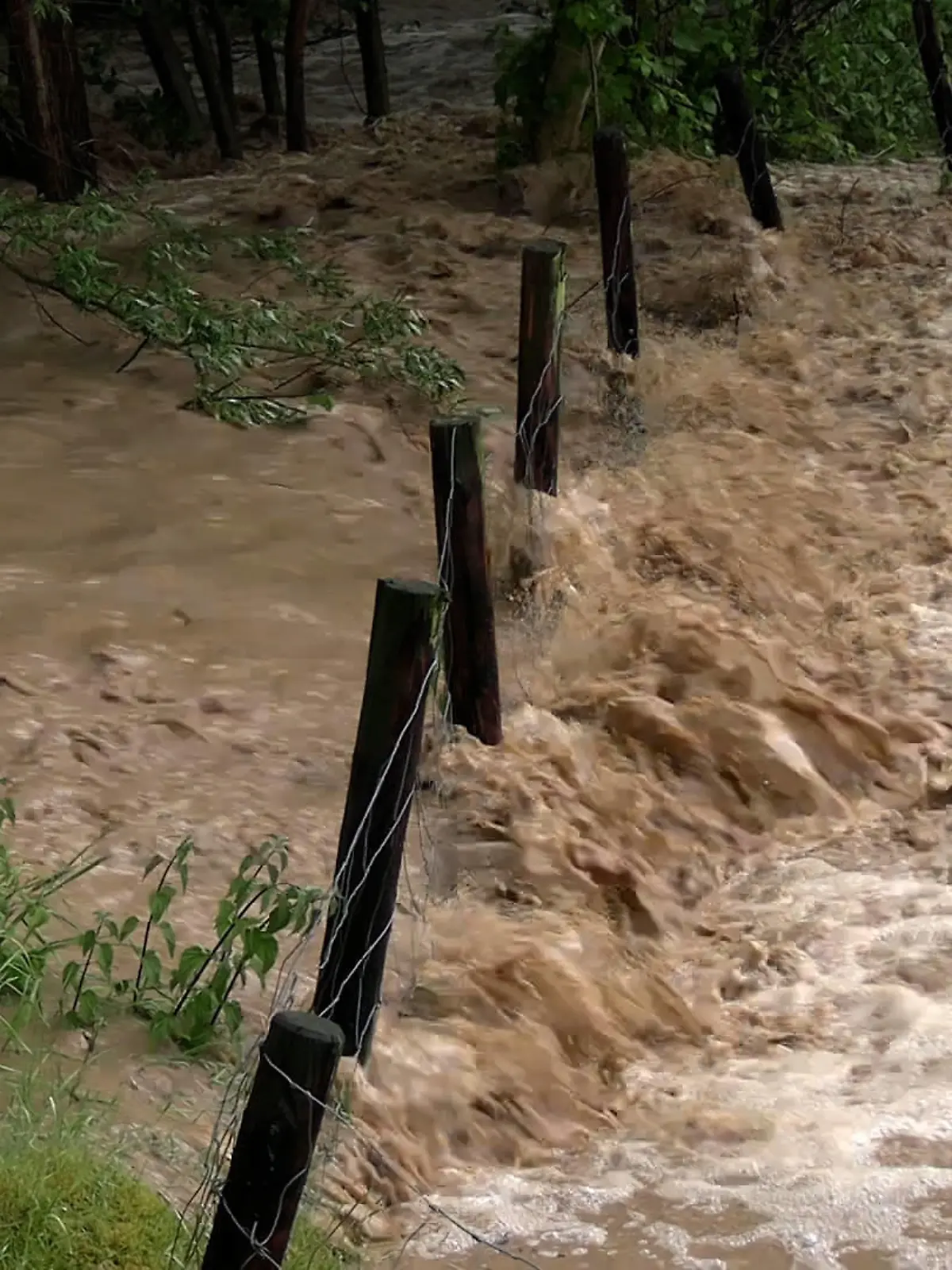 Schwere Unwetter und heftige Überflutungen auf Grund von Unwettern in Nordrhein-Westfalen. Besonders heftig gezeichnet ist die Gegend um Detmold und Nachbarstadt Lage. Bis zu 100 mm Niederschlag in nur einer Stunde sind gefallen. Hochwasser an Flüssen war die Folge. Zahlreiche Straßen sind gesperrt. Die Feuerwehren sind im Großeinsatz, werden vom THW unterstützt. Unzählige Keller sind randvoll und müssen leergepumpt werden. Ganze Straßenzüge samt Autos stehen im Wasser. Verkehrschaos herrscht um Detmold, da viele Straßen gesperrt sind. Ein Anwohner schildert die Situation Ð sein Keller ist ebenfalls bis zur Decke geflutet. Auch die Feuerwehr wurde von Überflutungen getroffen. Die Feuerwehr Lage Ð hier befindet sich die Zentrale Ð musste mit