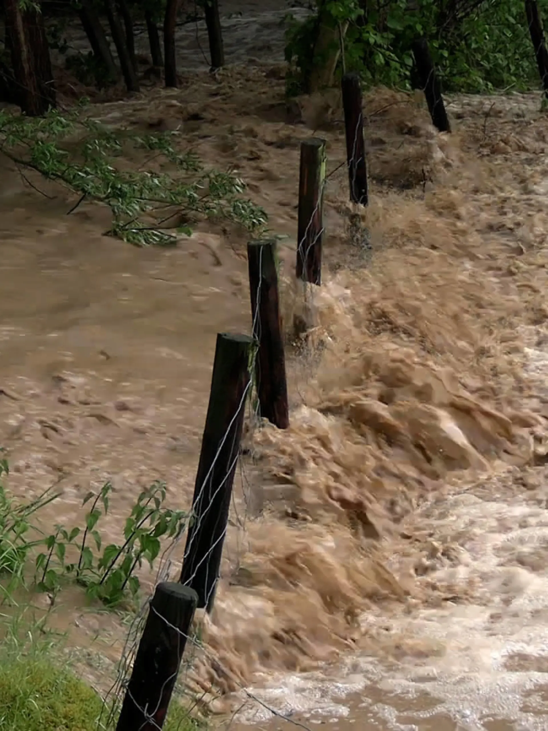 Schwere Unwetter und heftige Überflutungen auf Grund von Unwettern in Nordrhein-Westfalen. Besonders heftig gezeichnet ist die Gegend um Detmold und Nachbarstadt Lage. Bis zu 100 mm Niederschlag in nur einer Stunde sind gefallen. Hochwasser an Flüssen war die Folge. Zahlreiche Straßen sind gesperrt. Die Feuerwehren sind im Großeinsatz, werden vom THW unterstützt. Unzählige Keller sind randvoll und müssen leergepumpt werden. Ganze Straßenzüge samt Autos stehen im Wasser. Verkehrschaos herrscht um Detmold, da viele Straßen gesperrt sind. Ein Anwohner schildert die Situation Ð sein Keller ist ebenfalls bis zur Decke geflutet. Auch die Feuerwehr wurde von Überflutungen getroffen. Die Feuerwehr Lage Ð hier befindet sich die Zentrale Ð musste mit