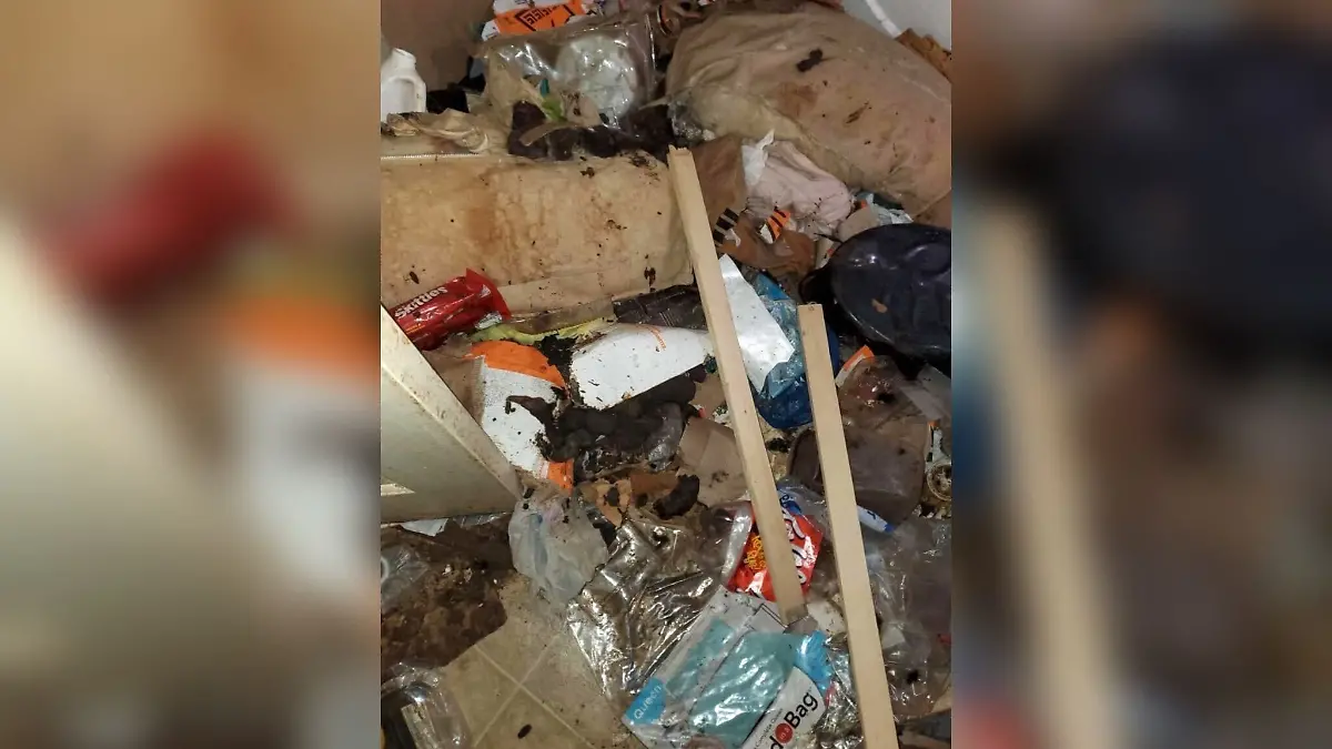 Ermittler entdeckten Müllberge, Schimmel und Kot in der ganzen Wohnung.