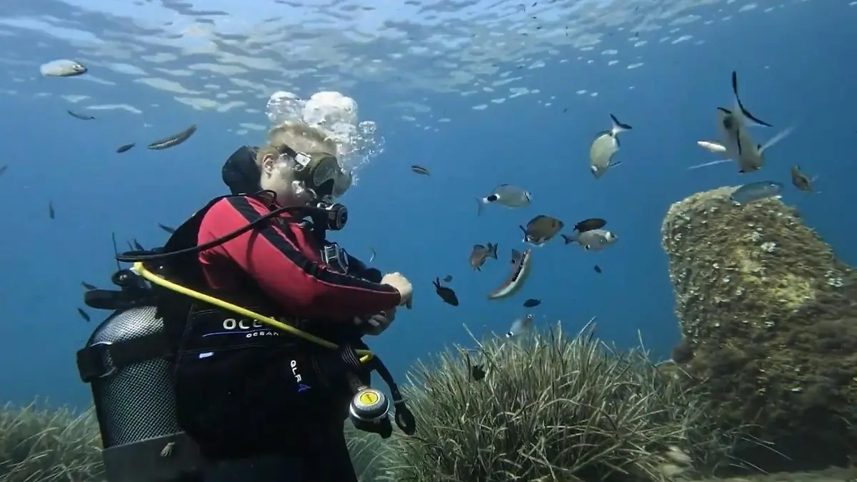 Fische können Menschen voneinander unterscheiden Krasse Erkenntnis!