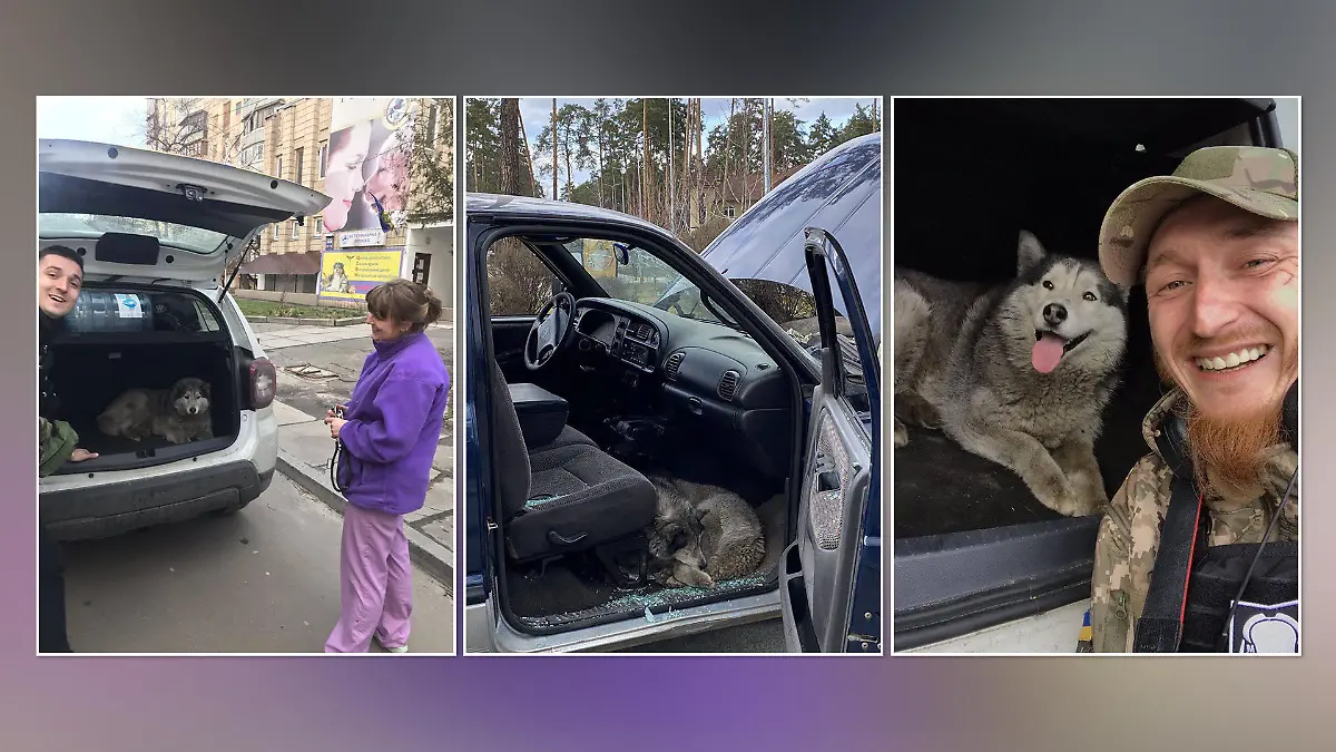 Streifenpolizisten sollen den Hund in einem verlassenen Auto gefunden haben. Einer von ihnen adoptierte ihn schließlich.
