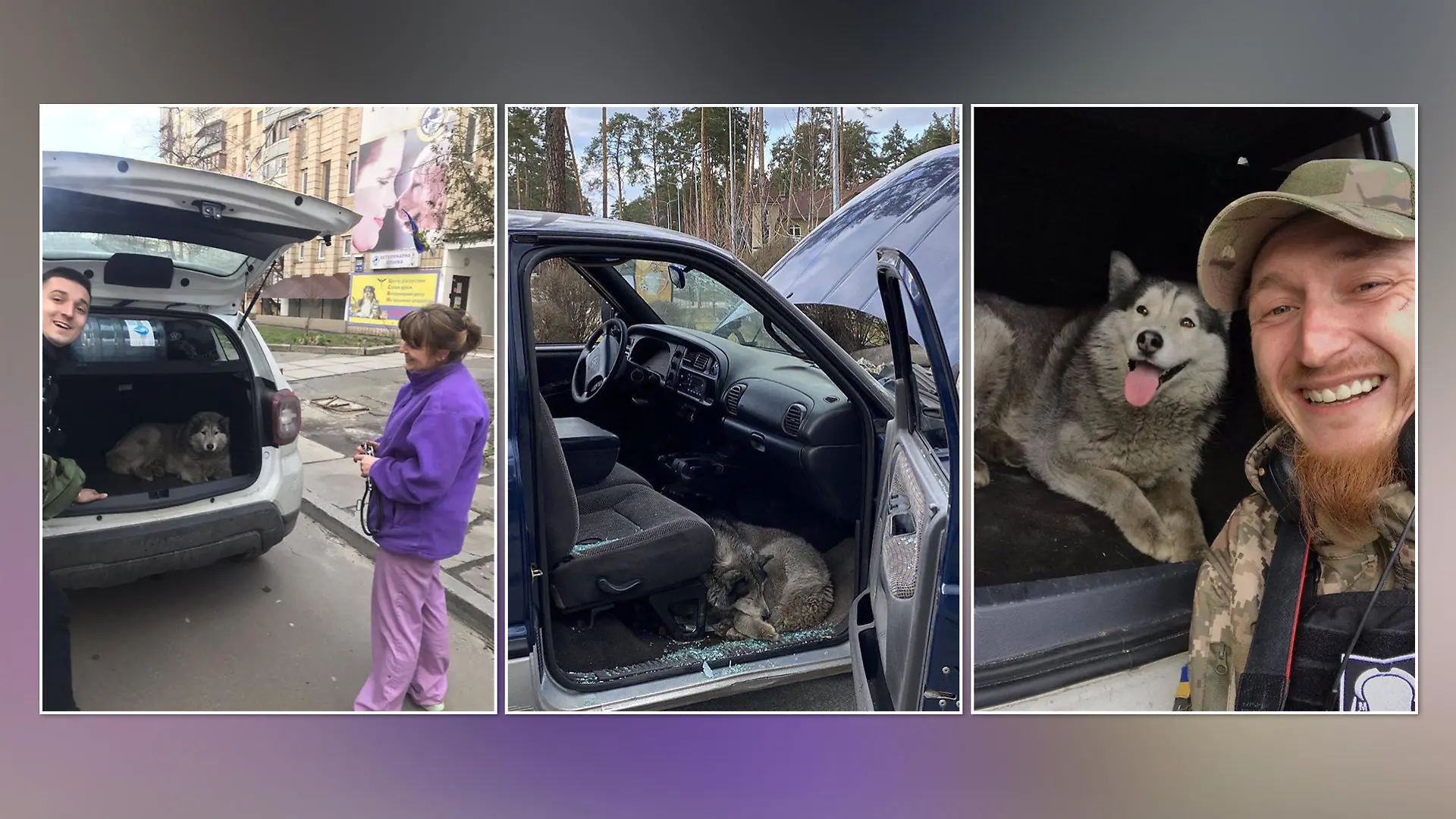 Streifenpolizisten sollen den Hund in einem verlassenen Auto gefunden haben. Einer von ihnen adoptierte ihn schließlich.