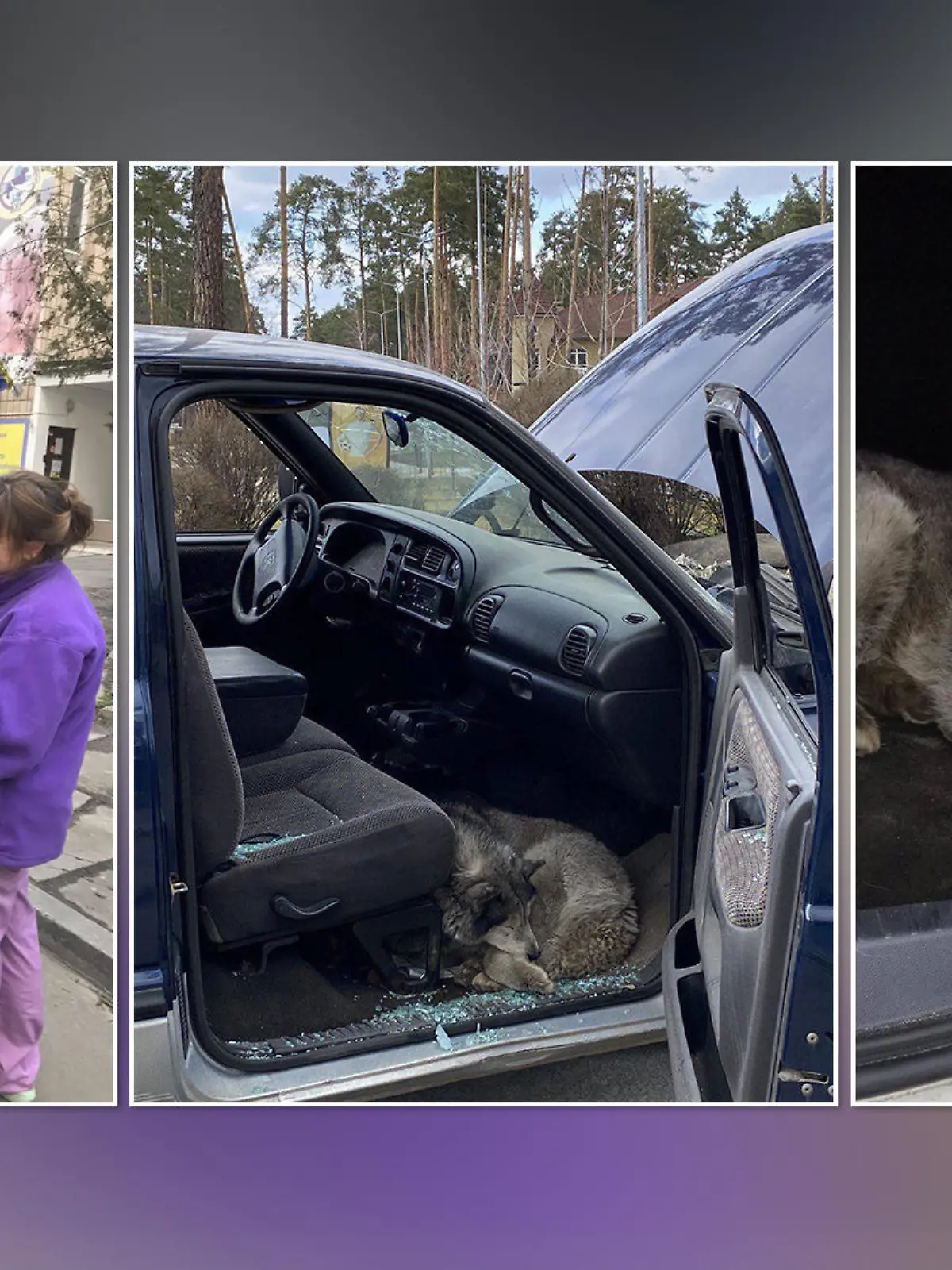 Streifenpolizisten sollen den Hund in einem verlassenen Auto gefunden haben. Einer von ihnen adoptierte ihn schließlich.