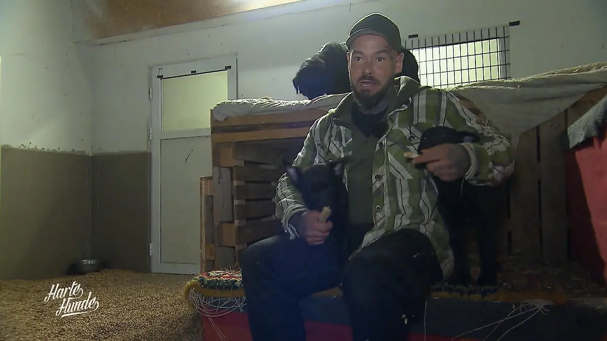 Ralf und Steve im Einsatz für 75 Tiere Im Ausnahmezustand