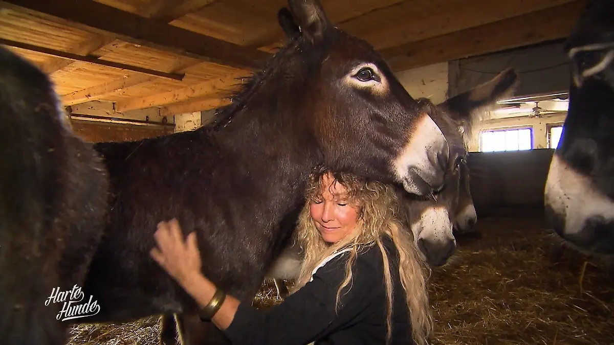 Freudentränen und eine große Überraschung Felicias Rückkehr
