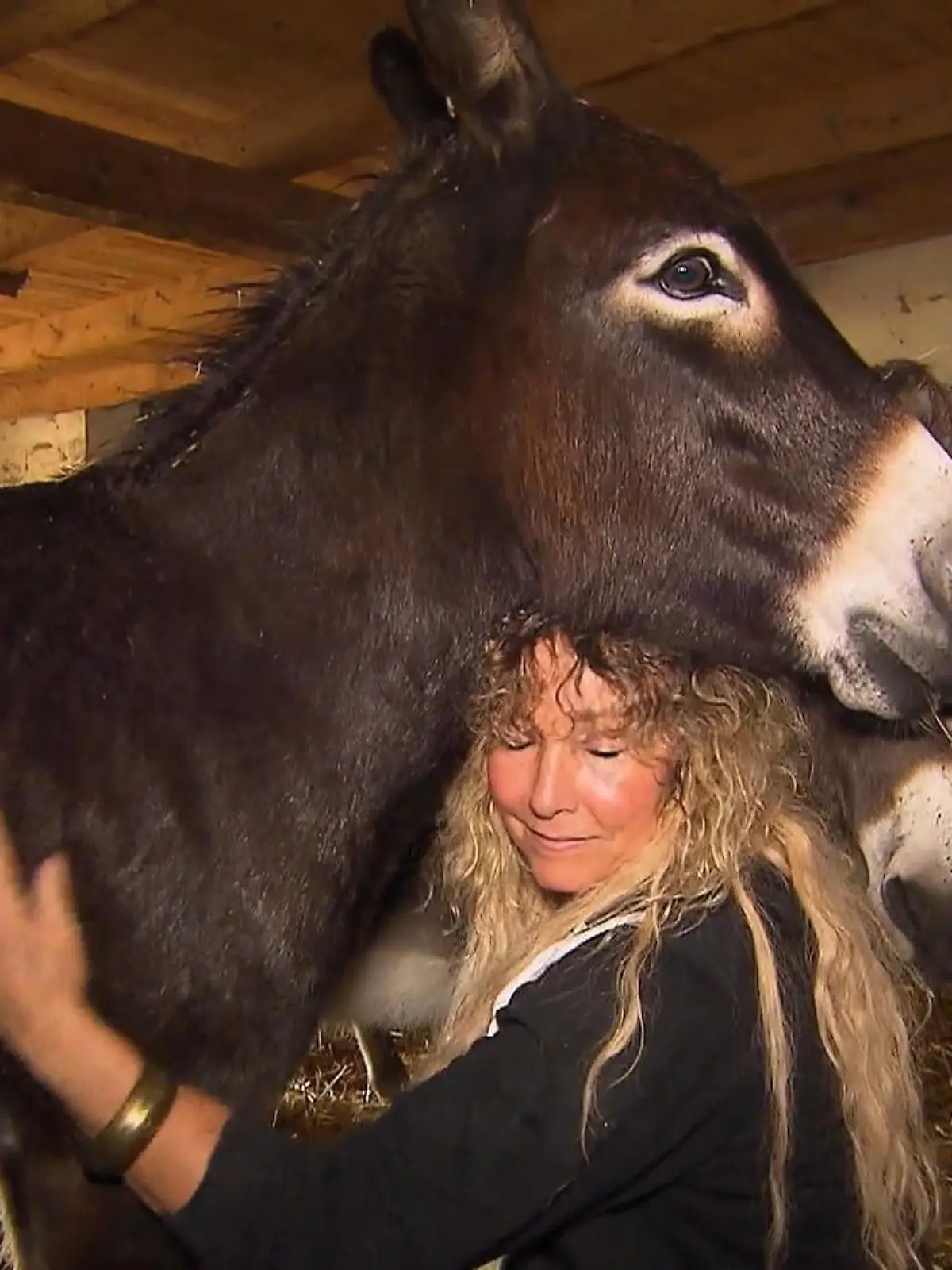 Bild zu: "Freudentränen und eine große Überraschung"