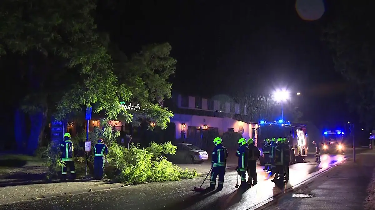 Auch ein Baum ist umgekippt und hat ein Dach beschädigt.