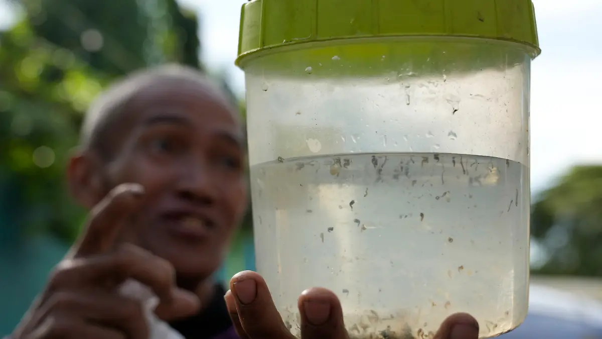 In einer Gemeinde auf den Philippinen ist ein Kopfgeld auf Mücken ausgesetzt worden, um das Dengue-Fieber einzudämmen.