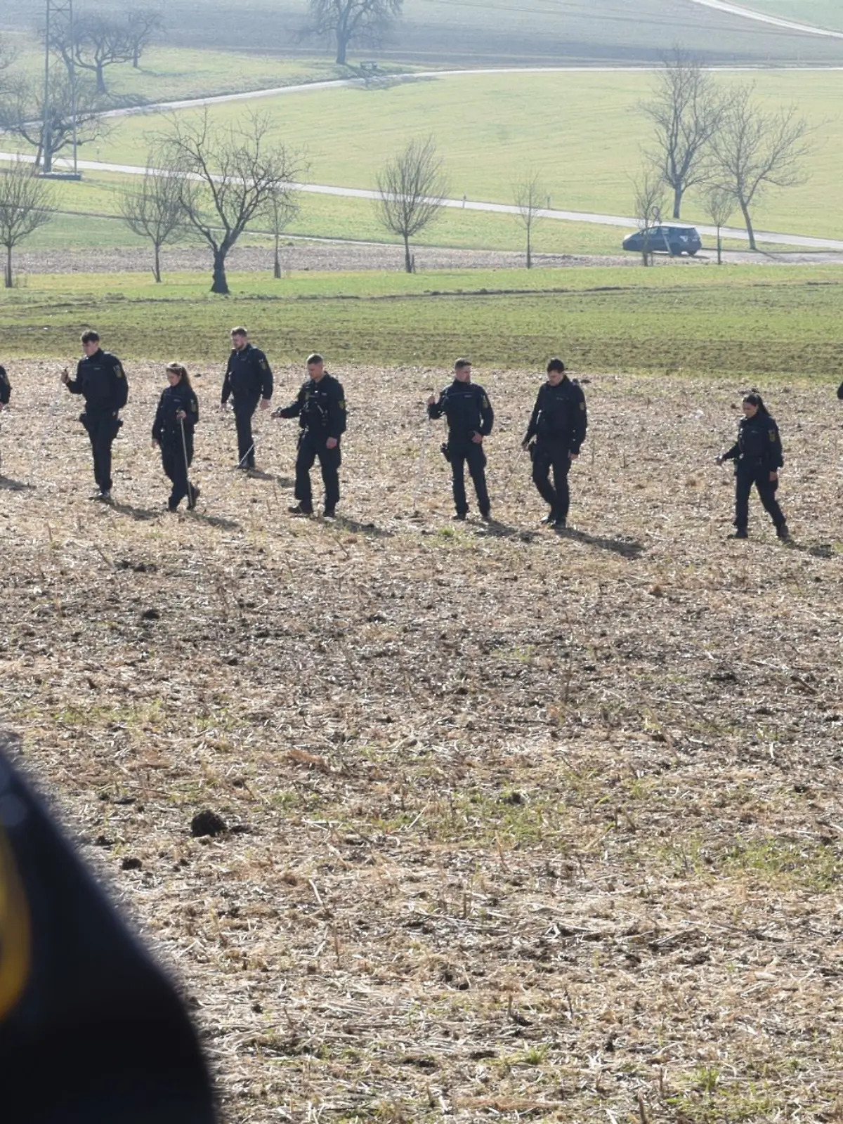 Bild zu: "Spaziergängerin entdeckt toten Säugling in Wiese"