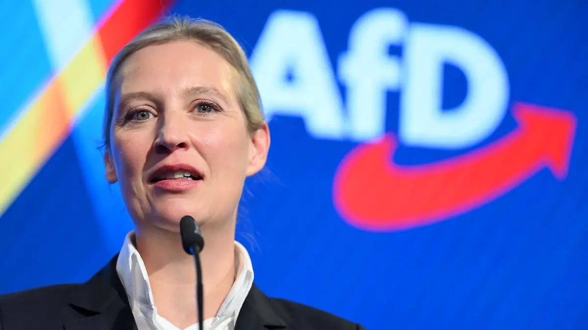 Die AfD-Chefin war als Direktkandidatin im Bodenseekreis angetreten.