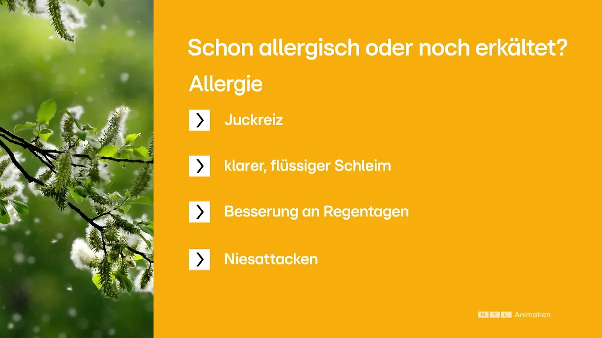 Diese Symptome sprechen für eine Allergie