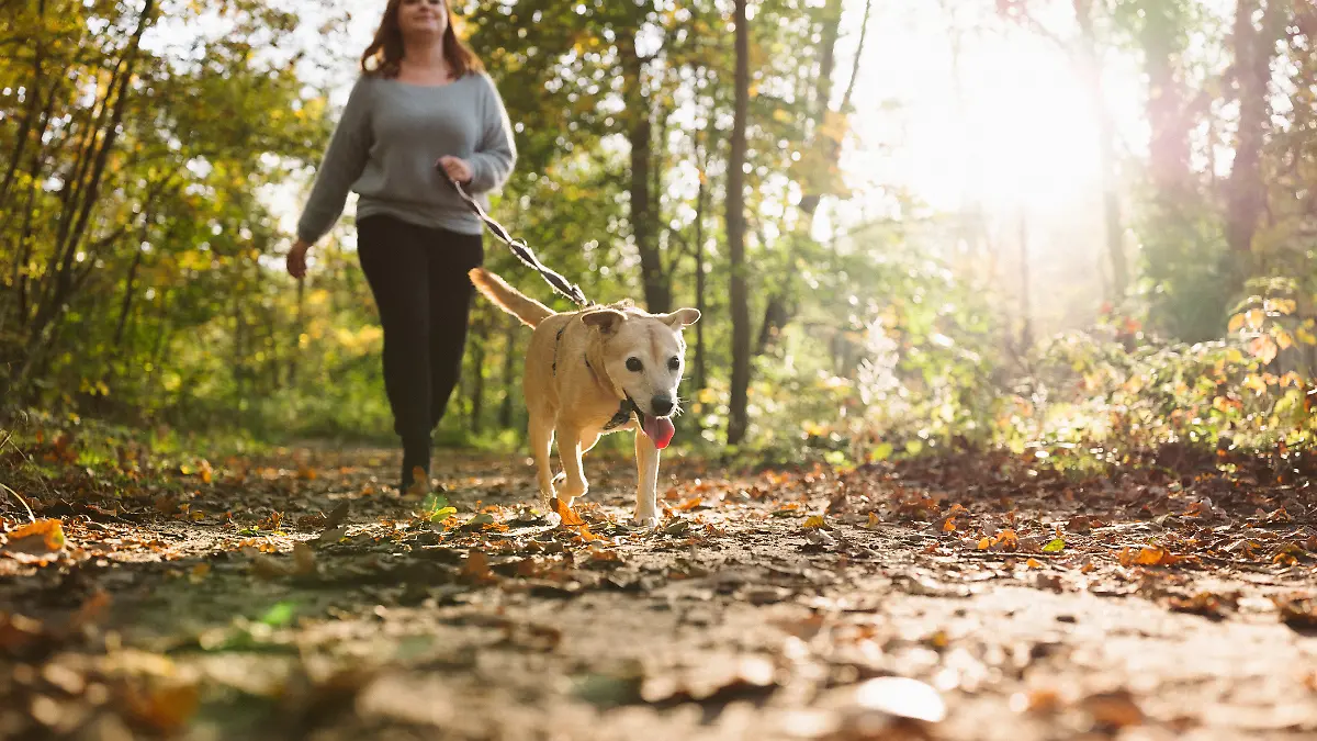Frau geht mit Hund spazieren. 