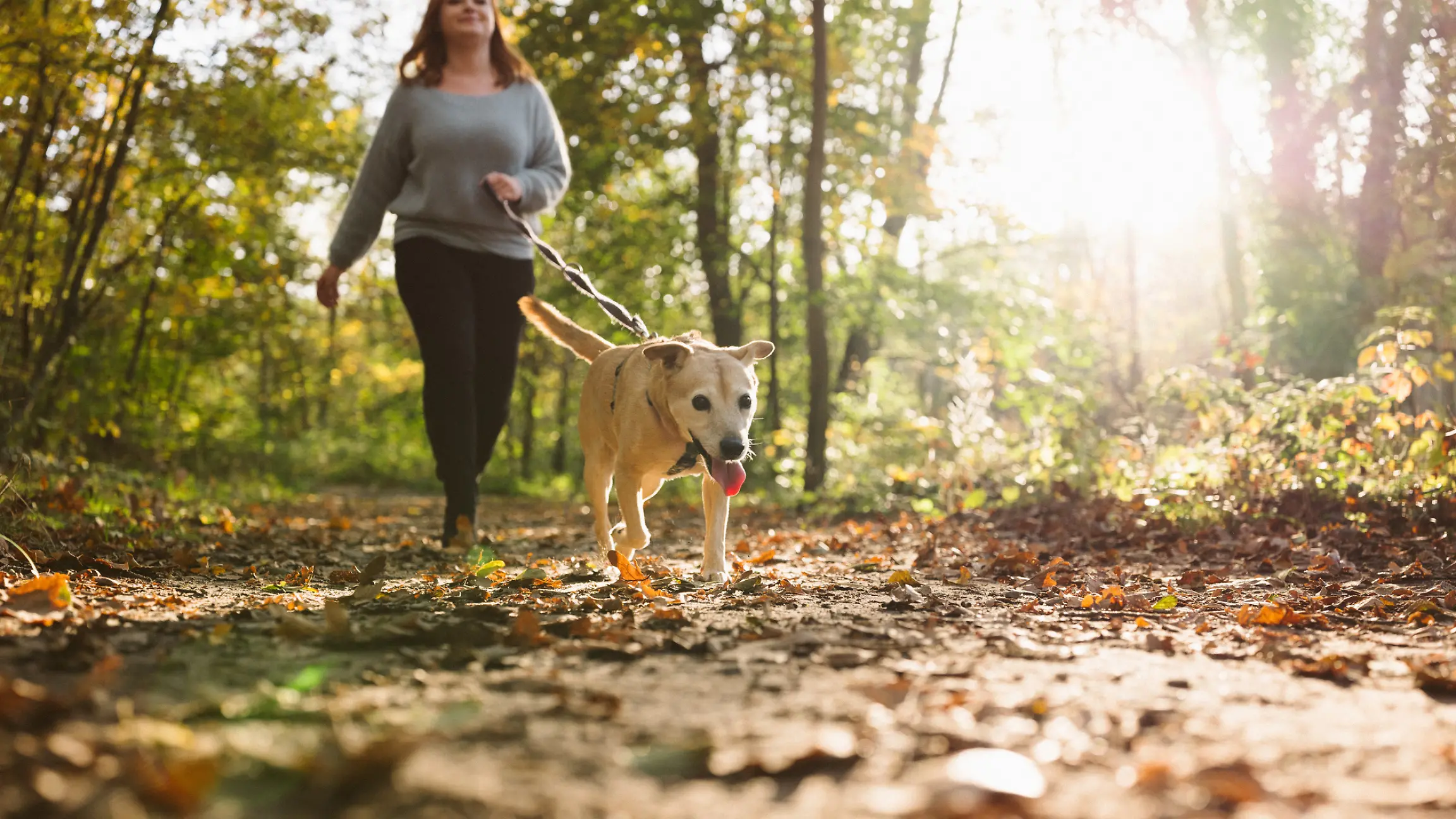 Frau geht mit Hund spazieren. 