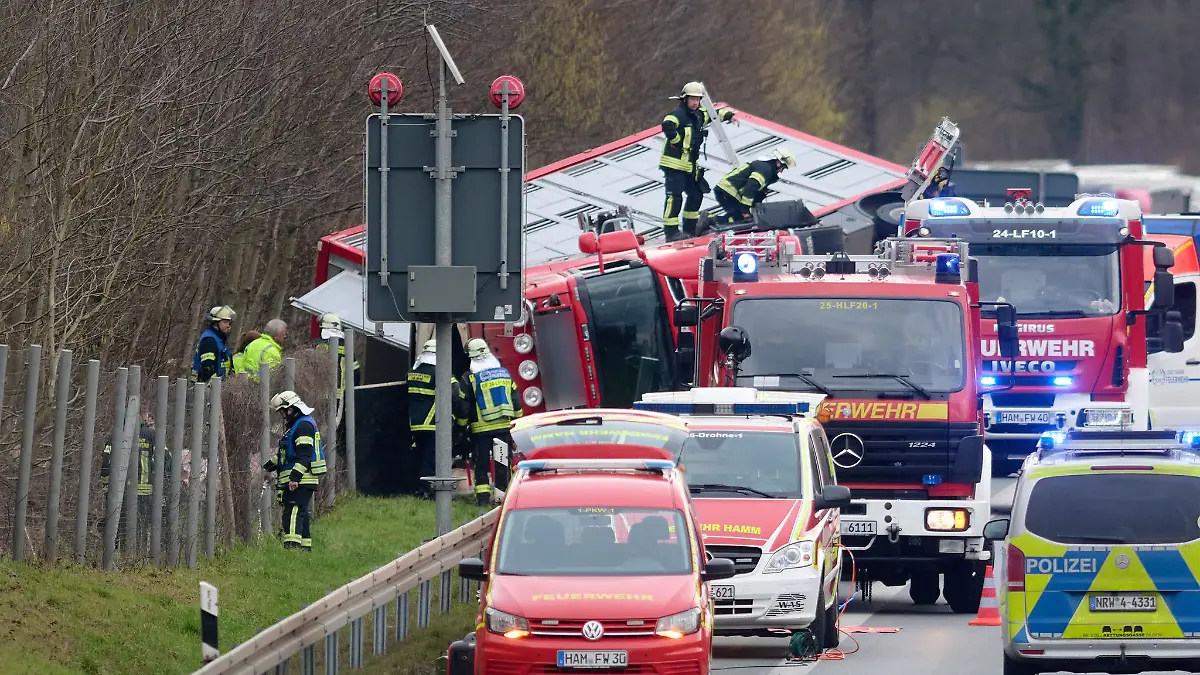 Ein mit Schweinen beladener Tiertransporter ist auf der A2 umgestürzt - die Fahrbahn ist voll gesperrt.