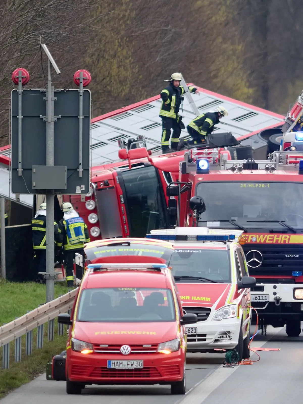 Bild zu: "30 Schweine auf der Fahrbahn! Autobahn-Chaos nach Unfall"
