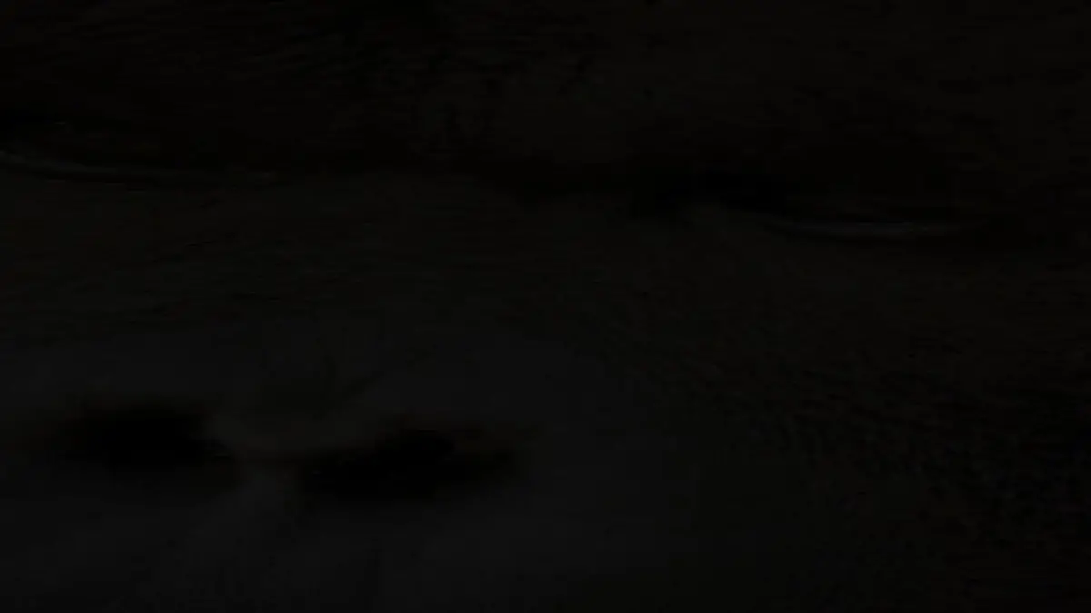 Hotspost der Tiere - Madagascar 