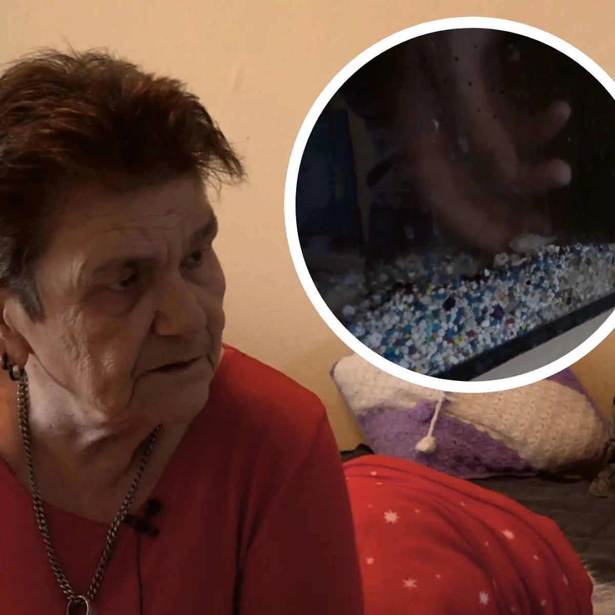 Drama bei „Hartz und herzlich”! Fisch von Rentnerin Regina (71) stirbt beim Umzug