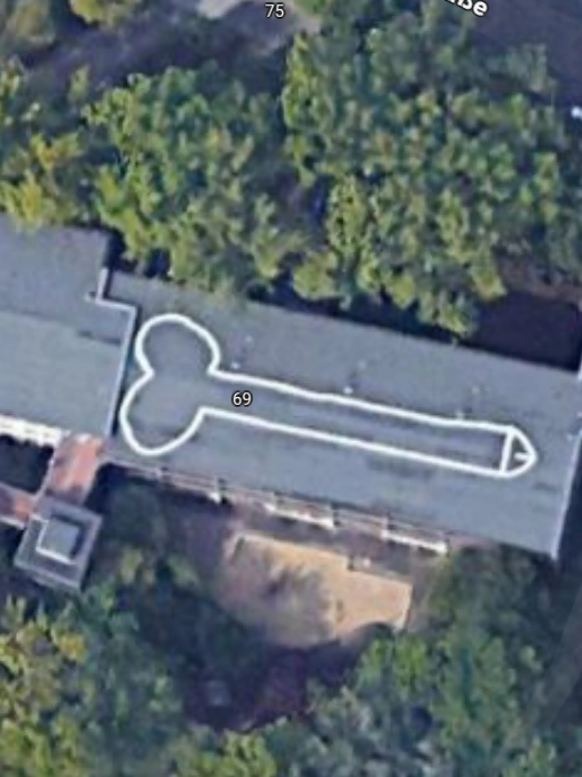 Ein gemalter Penis auf einem Dach. 