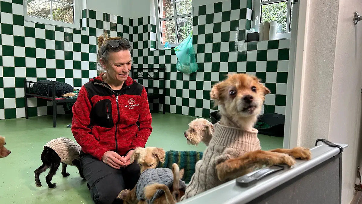Die Tierschutzorganisation Gut Aiderbichl hat 20 der Tiere aufgenommen und päppelt sie jetzt liebevoll wieder auf.