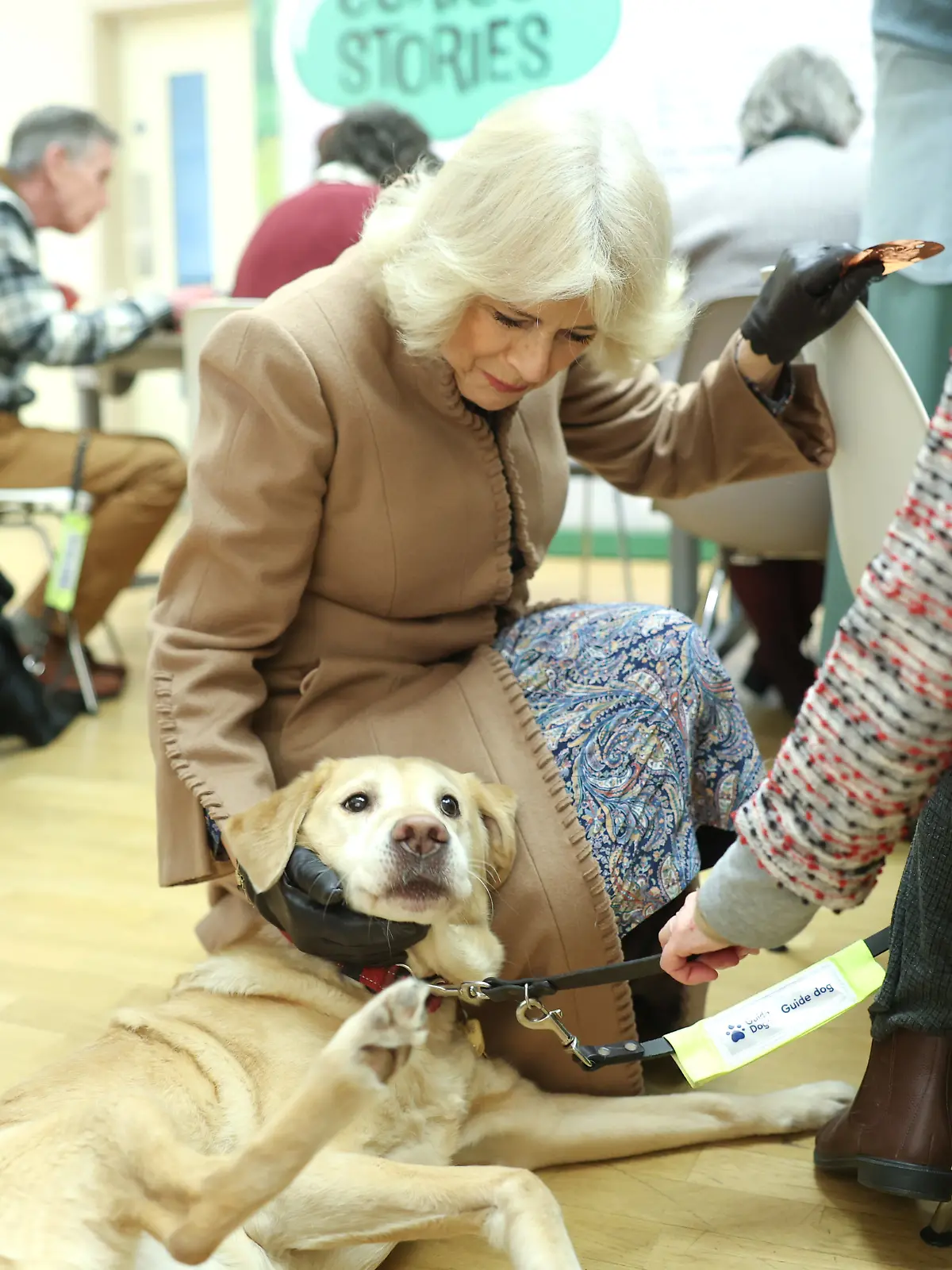  Die britische Königin Camilla streichelt einen Blindenhund während eines Besuchs im Beaney House of Art and Knowledge.