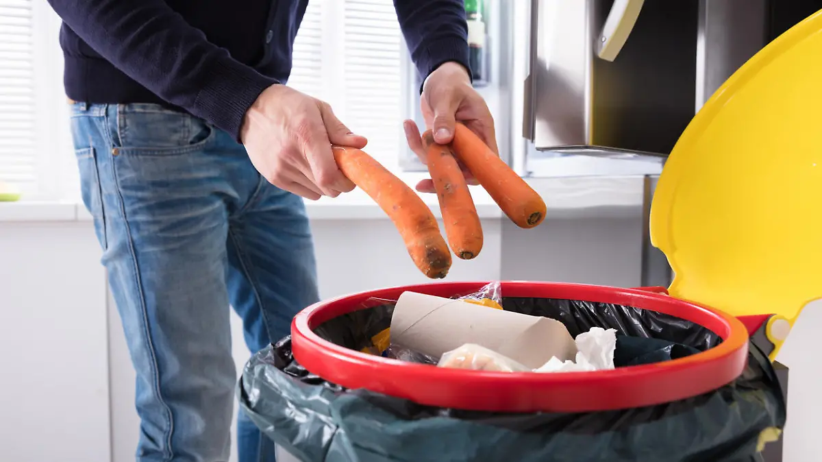 Close-up Of A Person's Hand Throwing Carrot In Dustbin