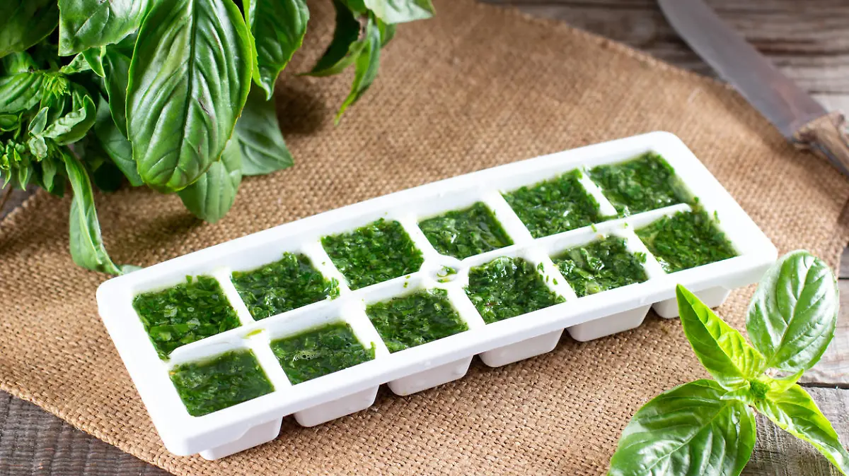 Frozen basil leaves (basilius) in ice cubes with fresh basil on a table. Frozen Herbs. Frozen food concept