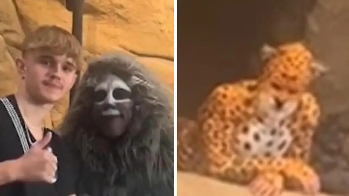 Was ist mit diesen Tieren los?! Zoo-Besuch schockt Touri  „Ich hatte so etwas noch nie gesehen”