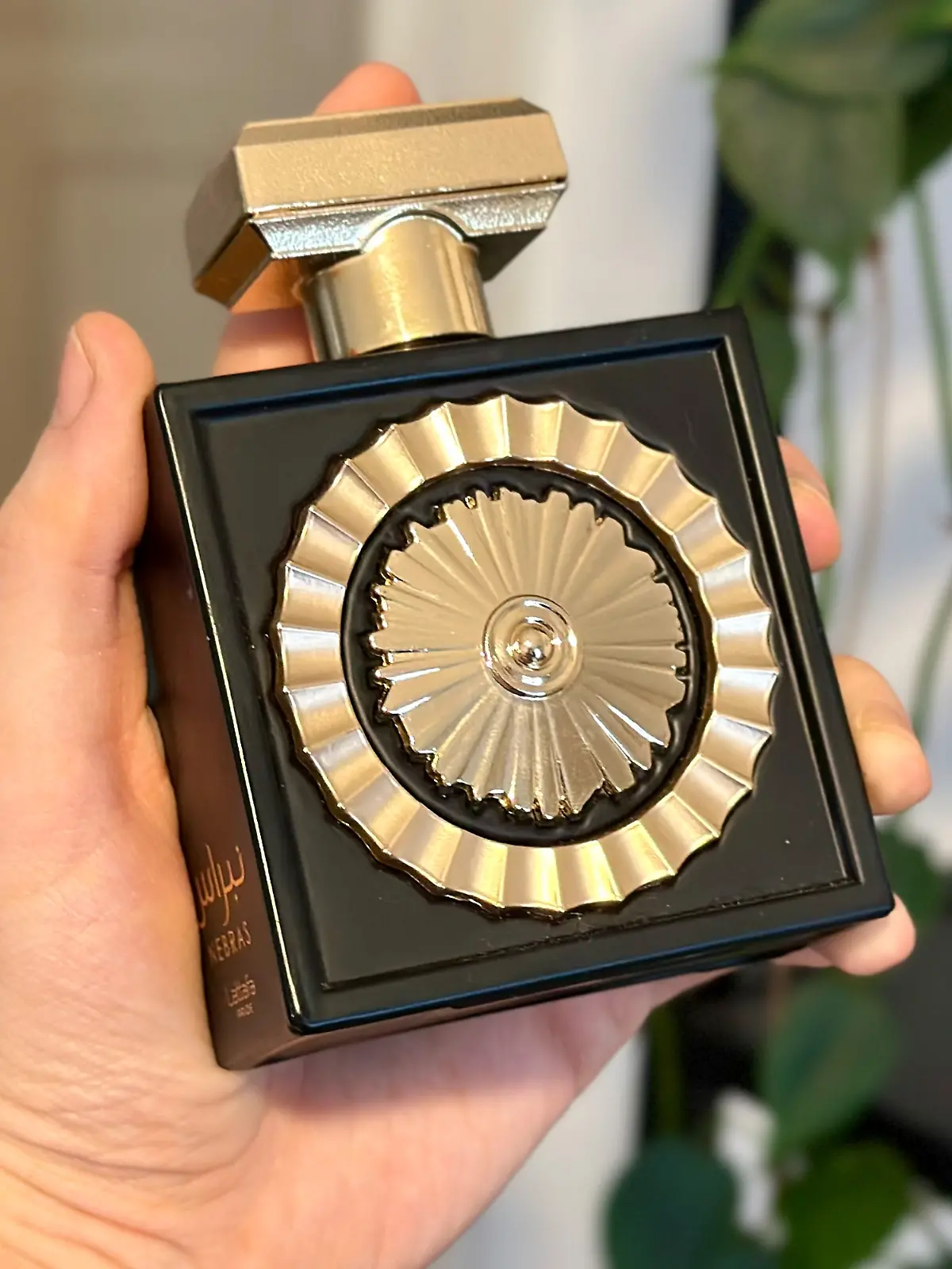 Mann hält Parfum Nebras von Lattafa.