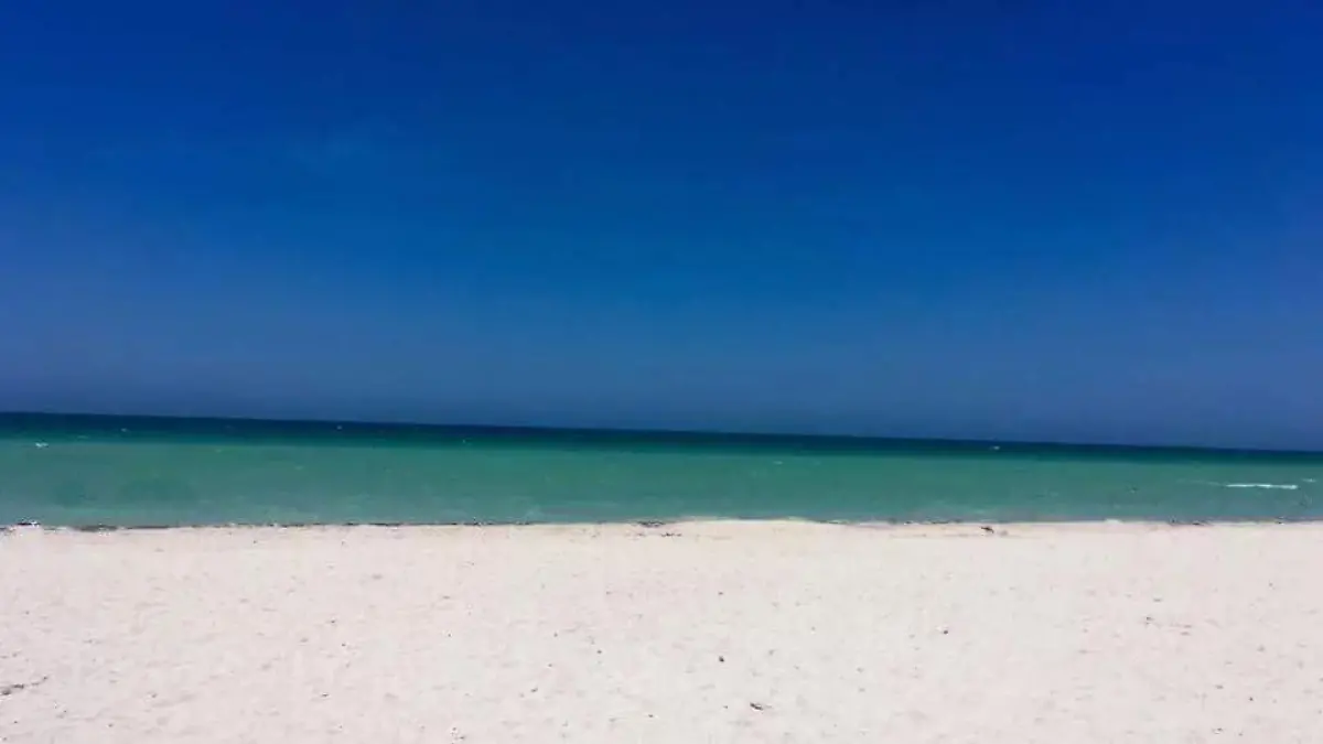 Eine Tür oder ein Strand? Bild splatet das Netz