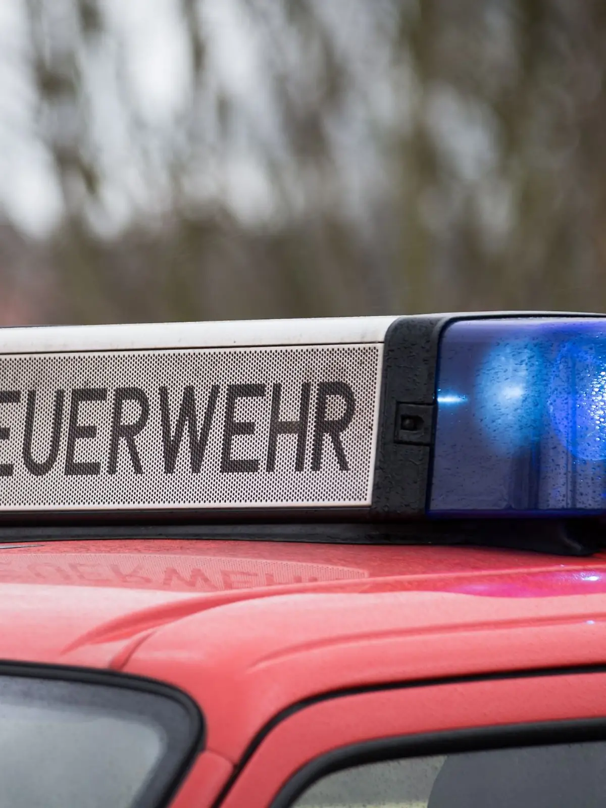 Bild zu: "Stadt überweist 400.000 Euro an Kriminelle - erst bei Mahnung wurde man stutzig"