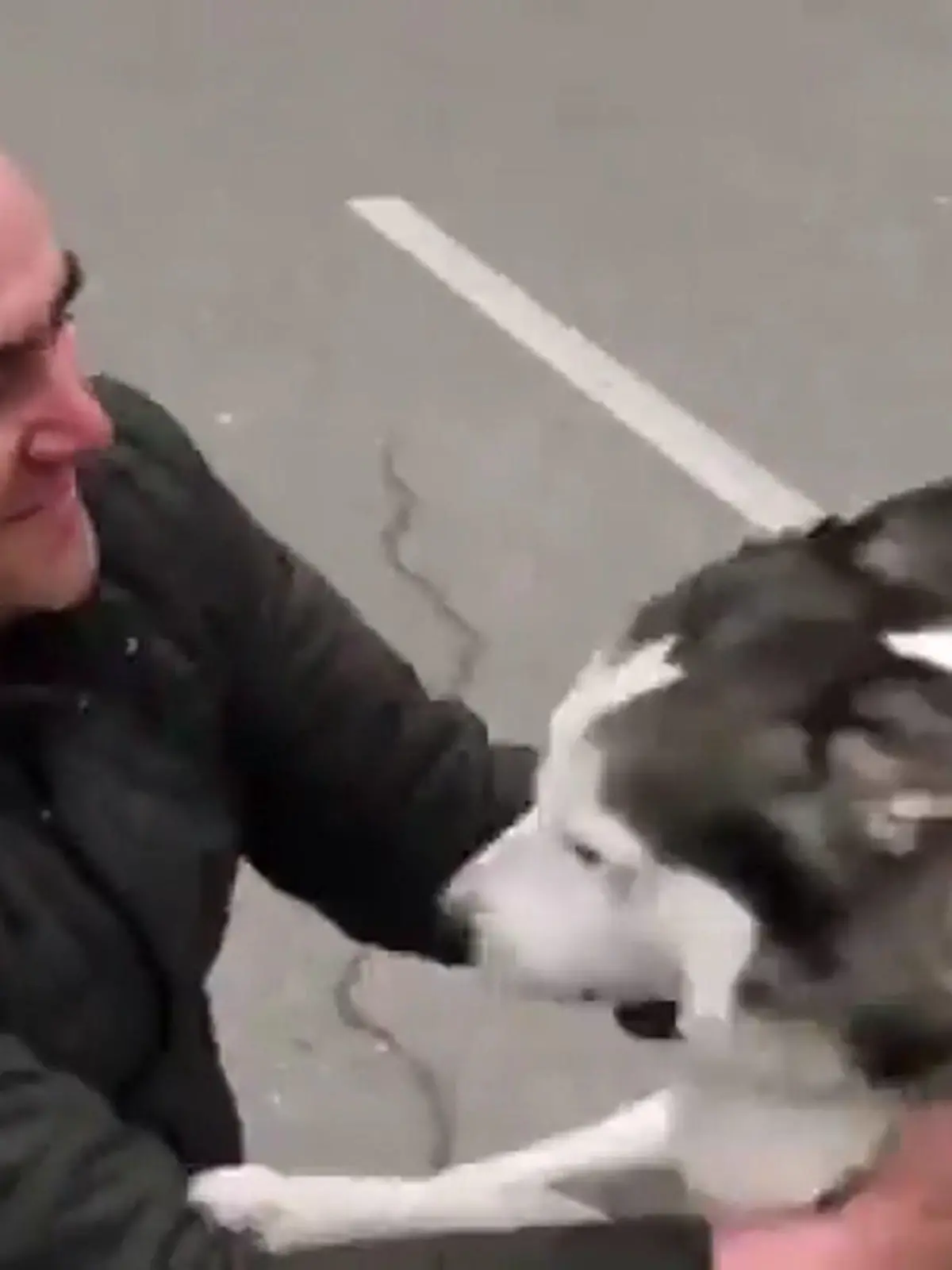 Ukraine-Krieg: Hund findet Herrchen in Butscha wieder