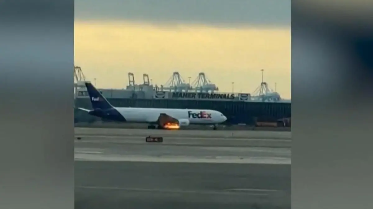 Plötzlich in Flammen! Vogelschlag führt zu Horror-Flug Landung mit Feuer-Triebwerk