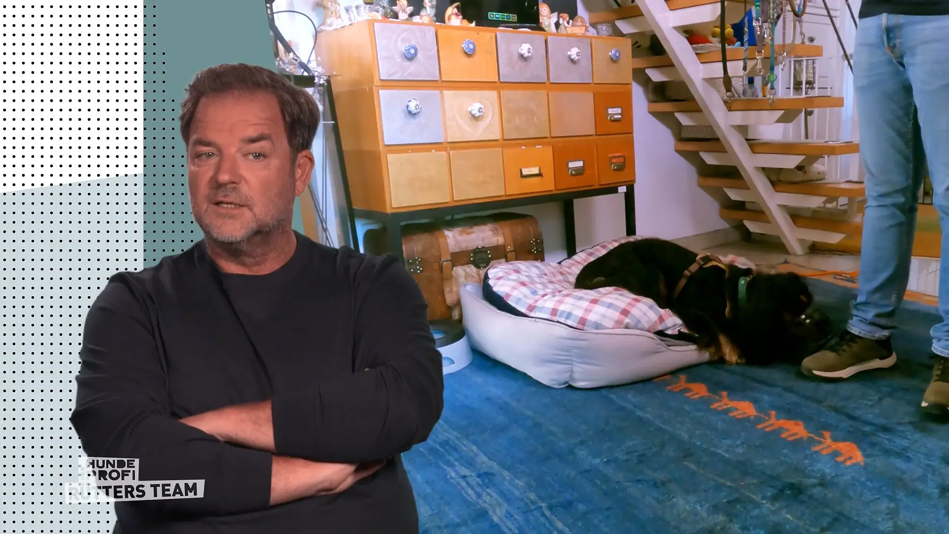 Wann empfindet Lenny Besucher als Bedrohung? Marcel probiert aus